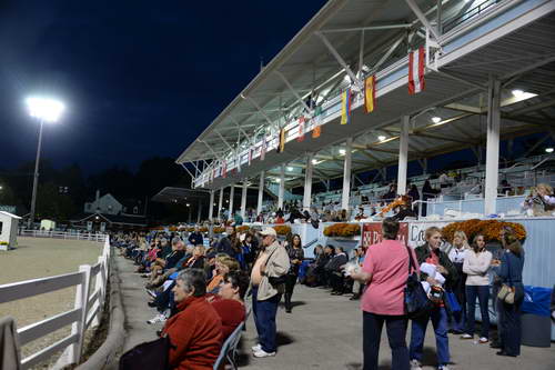 Dressage-at-Devon-9-27-13-5051-DDeRosaPhoto