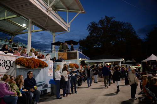 Dressage-at-Devon-9-27-13-5054-DDeRosaPhoto