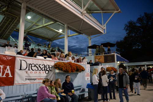 Dressage-at-Devon-9-27-13-5055-DDeRosaPhoto