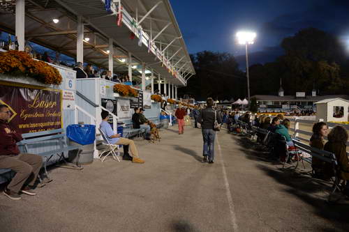 Dressage-at-Devon-9-27-13-5059-DDeRosaPhoto
