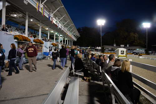 Dressage-at-Devon-9-27-13-5061-DDeRosaPhoto