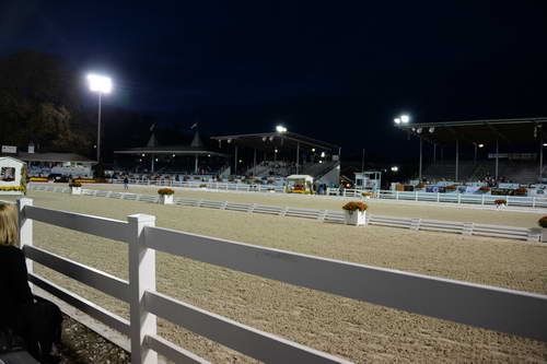 Dressage-at-Devon-9-27-13-5063-DDeRosaPhoto