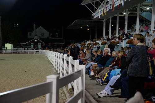 Dressage-at-Devon-9-27-13-5066-DDeRosaPhoto