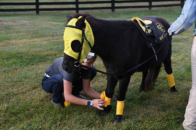 EQUSA-10-01-2021-3911-DDeRosaPhoto