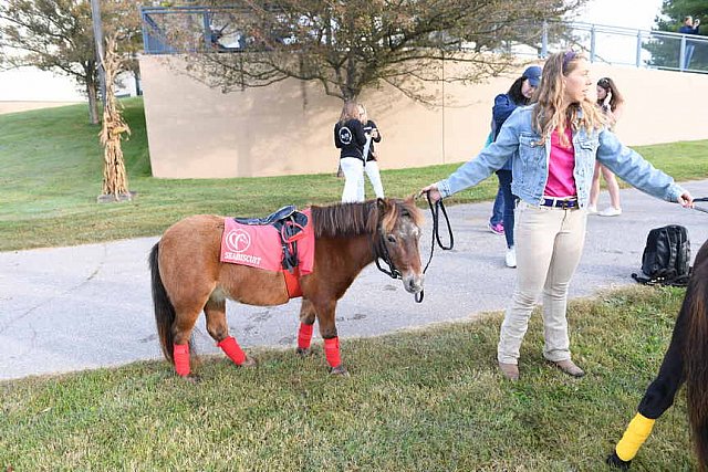 EQUSA-10-01-2021-3914-DDeRosaPhoto