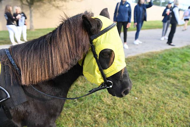 EQUSA-10-01-2021-3919-DDeRosaPhoto