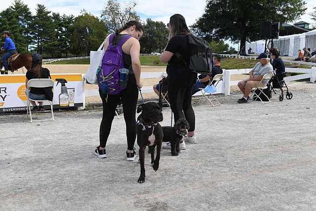 EQUSA-10-01-2021-4024-DDeRosaPhoto