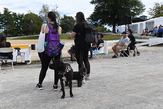 EQUSA-10-01-2021-4025-DDeRosaPhoto