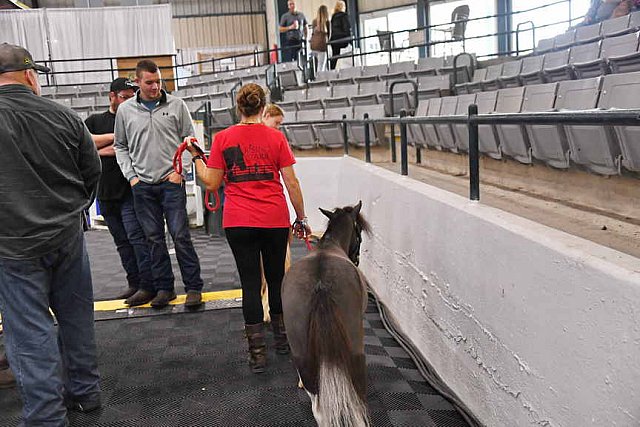 EQUITANA-10-03-21-4715-DDEROSAPHOTO