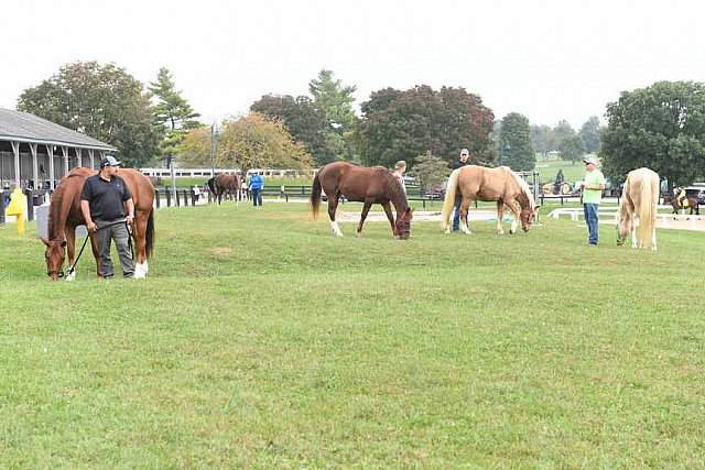 EQUSA-10-02-2021-4235-DDeRosaPhoto