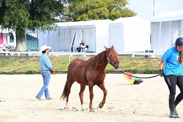 EQUSA-10-02-2021-4366-DDeRosaPhoto