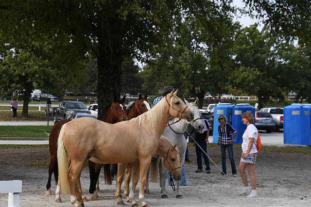 EQUSA-10-02-2021-4432-DDeRosaPhoto