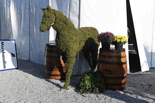 EQUSA-09-30-2021-3869-DDeRosaPhoto