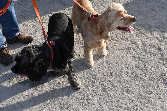 EQUSA-09-30-2021-3880-DDeRosaPhoto