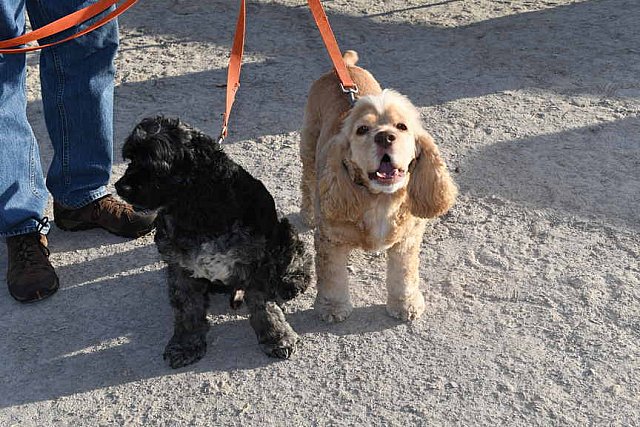 EQUSA-09-30-2021-3882-DDeRosaPhoto