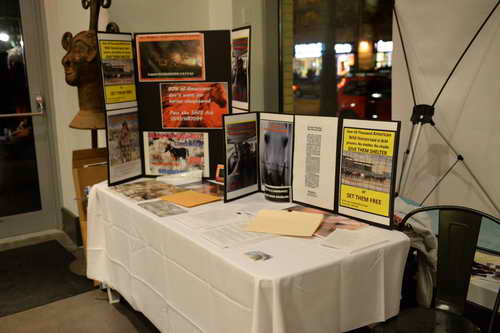 EquusFilmFestival-11-21-22-14-6669-DDeRosaPhoto