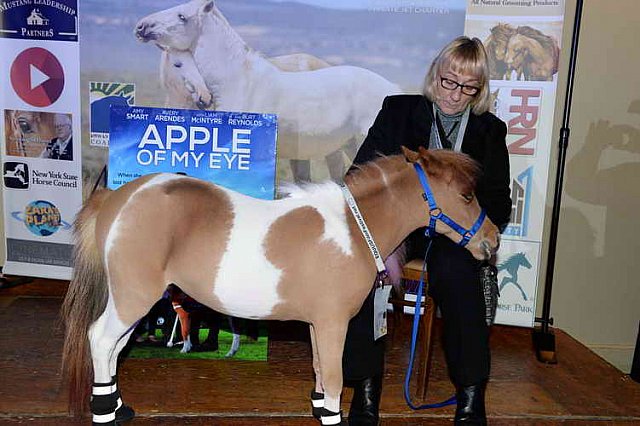 EQUUSFF-11-2016-8124--DDeRosaPhoto