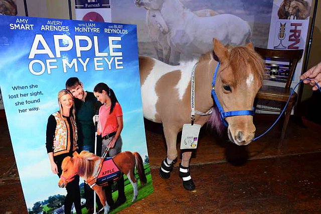 EQUUSFF-11-2016-8134--DDeRosaPhoto