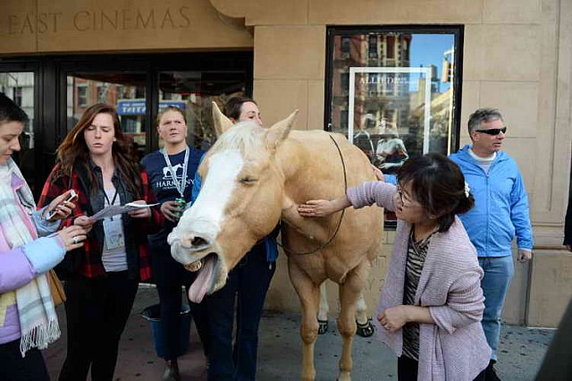 EQUUSFF-11-2016-8186--DDeRosaPhoto