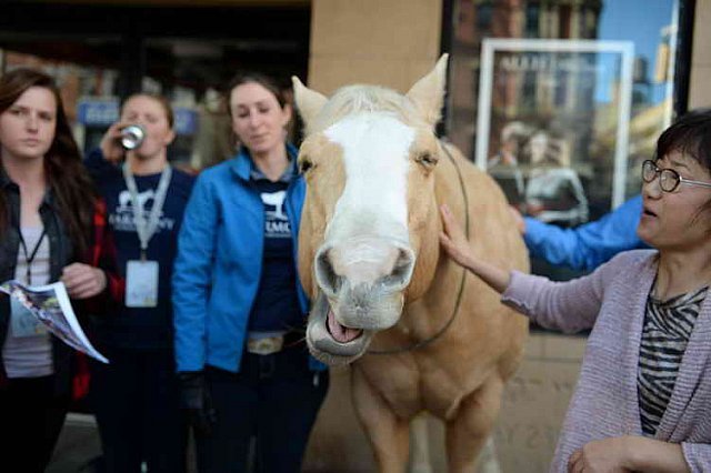 EQUUSFF-11-2016-8191--DDeRosaPhoto