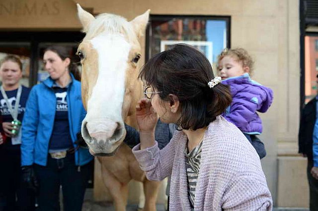 EQUUSFF-11-2016-8198--DDeRosaPhoto