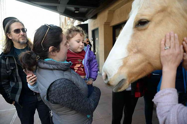 EQUUSFF-11-2016-8202--DDeRosaPhoto