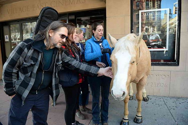 EQUUSFF-11-2016-8209--DDeRosaPhoto