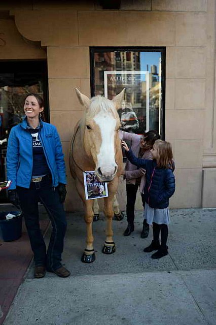 EQUUSFF-11-2016-8222--DDeRosaPhoto