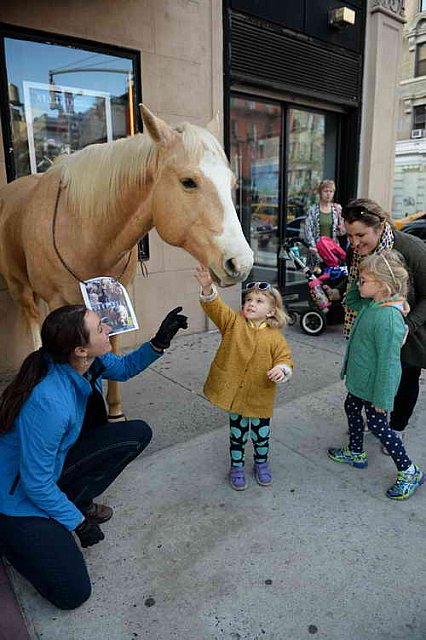 EQUUSFF-11-2016-8237--DDeRosaPhoto