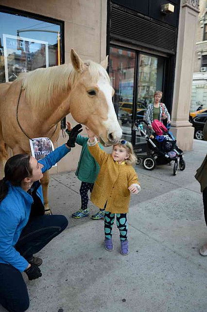 EQUUSFF-11-2016-8241--DDeRosaPhoto