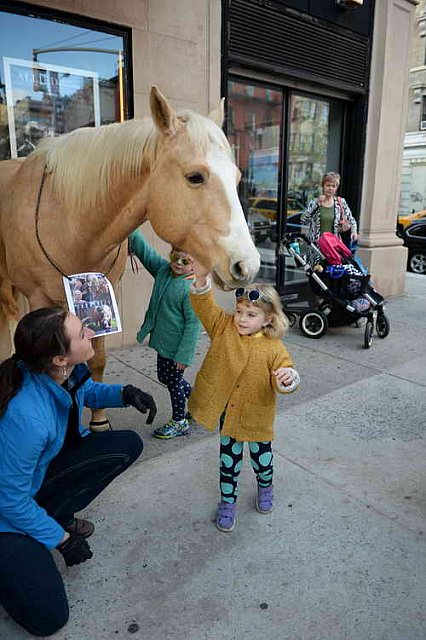 EQUUSFF-11-2016-8242--DDeRosaPhoto