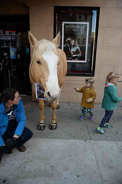 EQUUSFF-11-2016-8244--DDeRosaPhoto