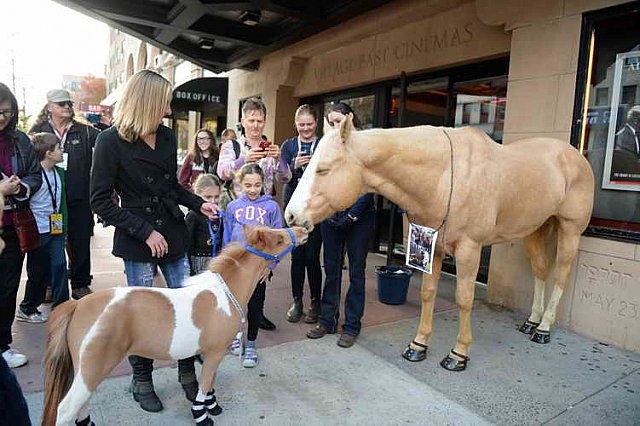 EQUUSFF-11-2016-8279--DDeRosaPhoto