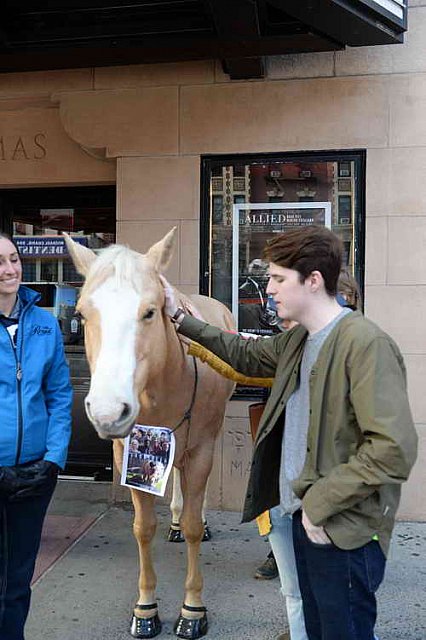 EQUUSFF-11-2016-8310--DDeRosaPhoto