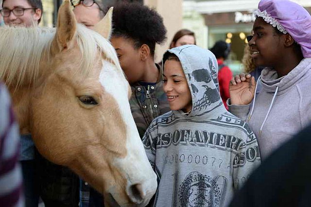 EQUUSFF-11-2016-8315--DDeRosaPhoto