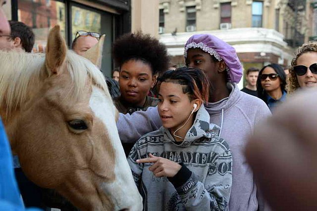 EQUUSFF-11-2016-8317--DDeRosaPhoto