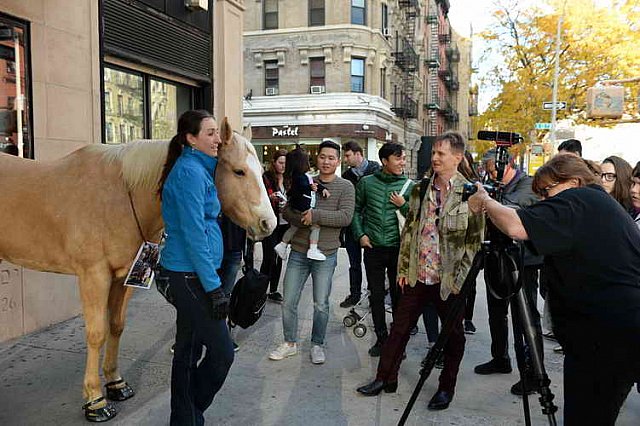 EQUUSFF-11-2016-8328--DDeRosaPhoto