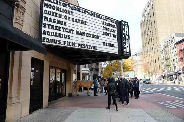 EQUUSFF-11-2016-8340--DDeRosaPhoto