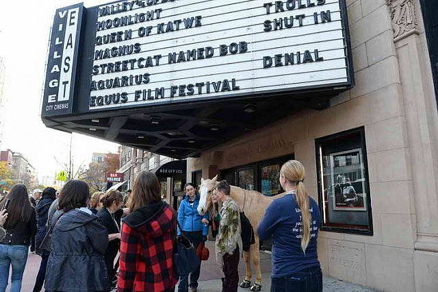 EQUUSFF-11-2016-8352--DDeRosaPhoto