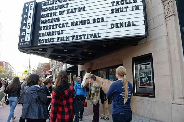 EQUUSFF-11-2016-8353--DDeRosaPhoto