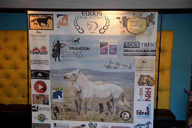 EQUUSFF-11-2016-8282--DDeRosaPhoto
