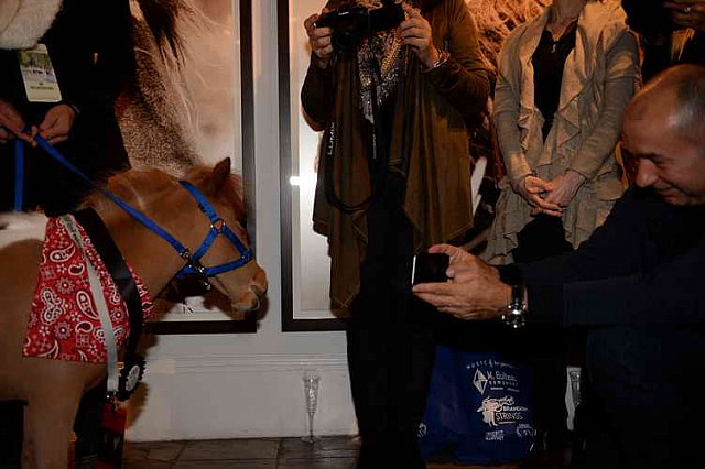 EQUUSFF-11-2016-8526-NinaGlaichevaPhoto