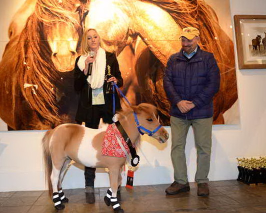 EQUUSFF-11-2016-8666-NinaGlaichevaPhoto