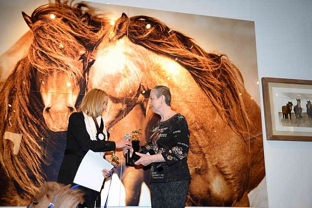 EQUUSFF-11-2016-8681-NinaGlaichevaPhoto