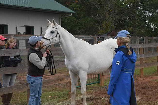 Tryon-10-29-17-2692-DDeRosaPho