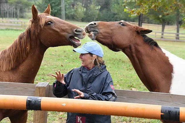 Tryon-10-29-17-2774-DDeRosaPho