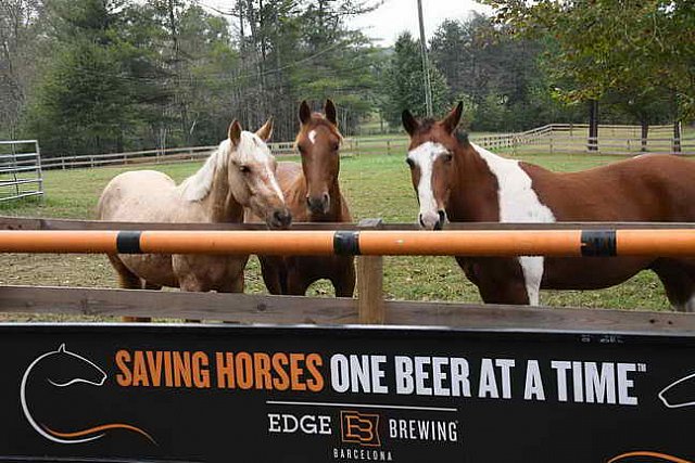 Tryon-10-29-17-2846-DDeRosaPho