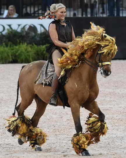 Tryon-10-29-17-2967-DDeRosaPho