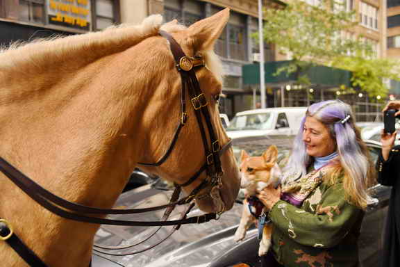 EFF17-11-17-19-17-2634-DDeRosaPhoto