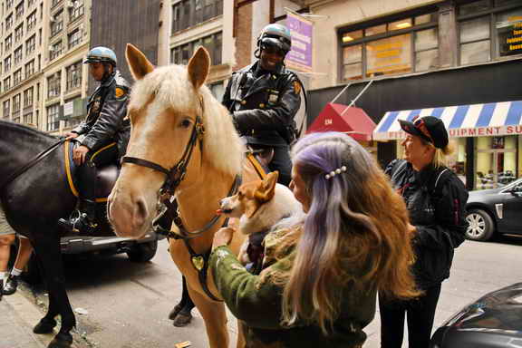 EFF17-11-17-19-17-2637-DDeRosaPhoto